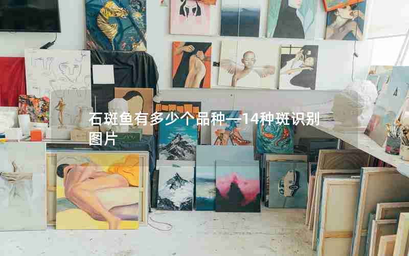 石斑鱼有多少个品种—14种斑识别图片