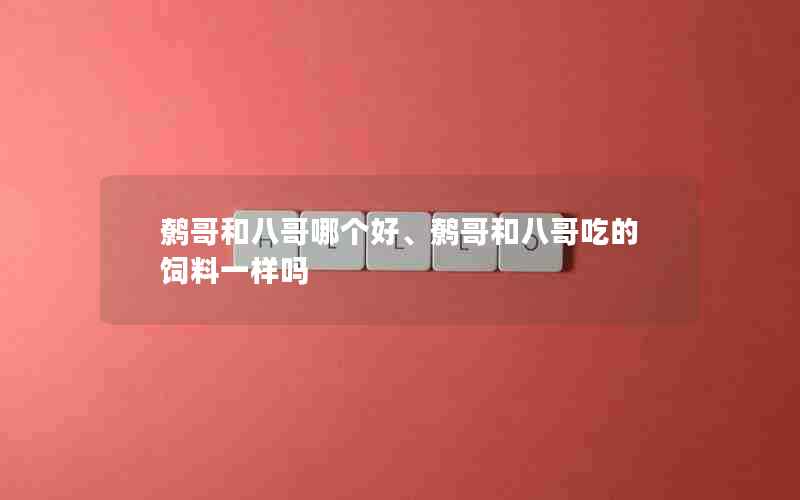 鹩哥和八哥哪个好、鹩哥和八哥吃的饲料一样吗