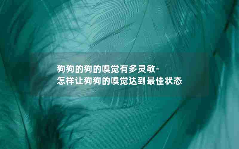 狗狗的狗的嗅觉有多灵敏-怎样让狗狗的嗅觉达到最佳状态