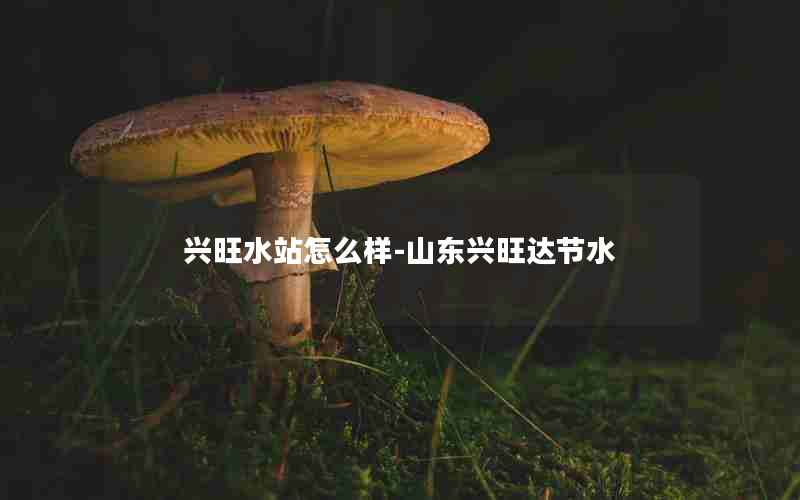 兴旺水站怎么样-山东兴旺达节水