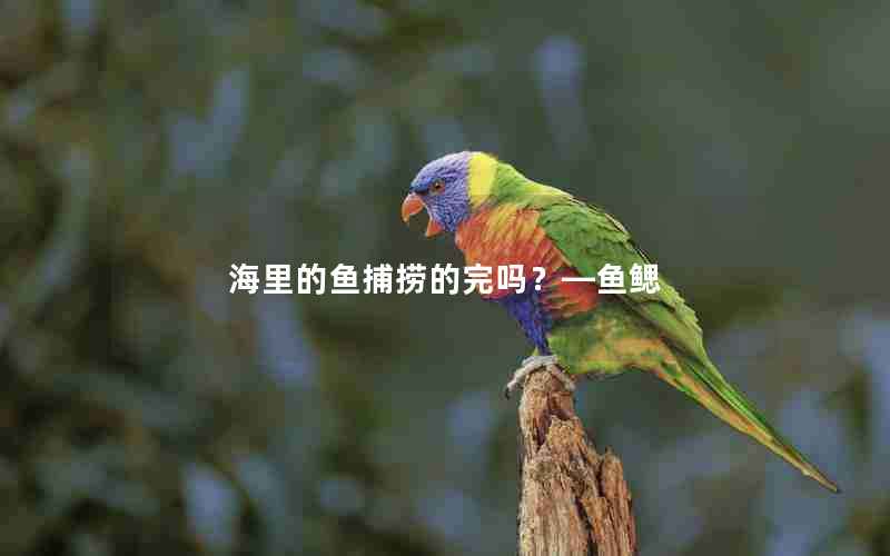 海里的鱼捕捞的完吗？—鱼鳃