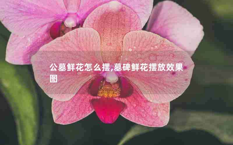 公墓鲜花怎么摆,墓碑鲜花摆放效果图