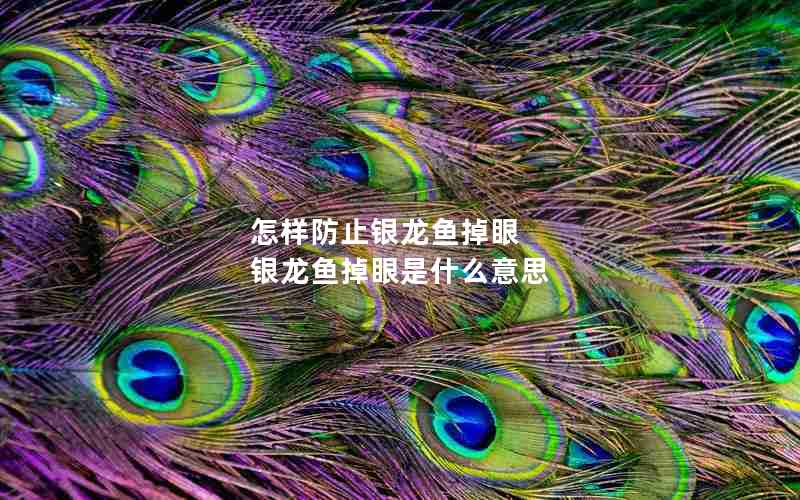 怎样防止银龙鱼掉眼 银龙鱼掉眼是什么意思