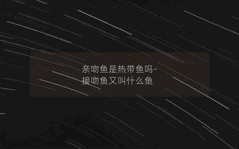 亲吻鱼是热带鱼吗-接吻鱼又叫什么鱼