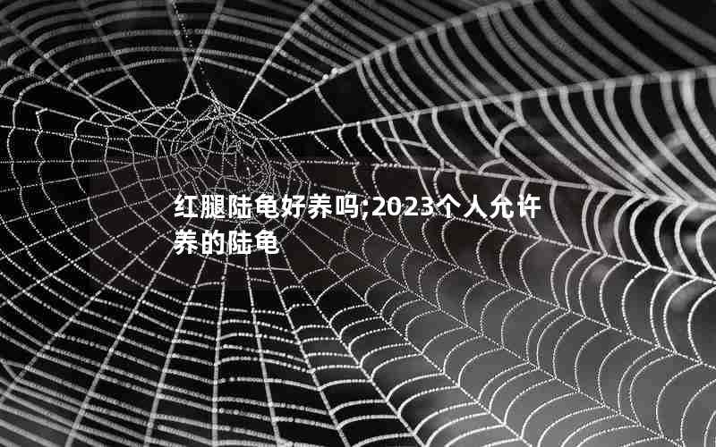 红腿陆龟好养吗;2023个人允许养的陆龟