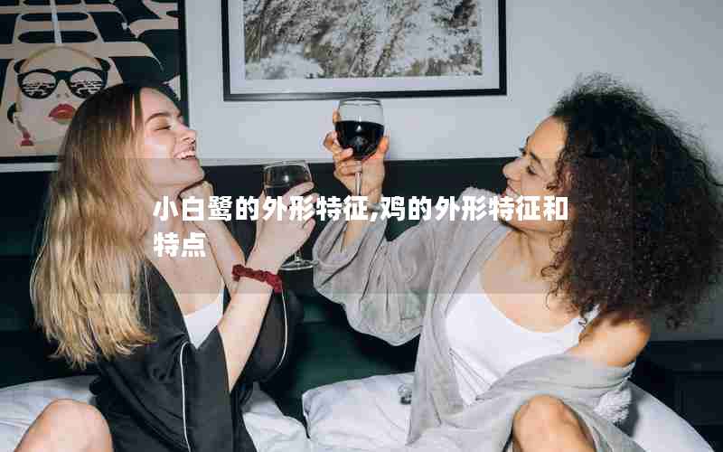 小白鹭的外形特征,鸡的外形特征和特点