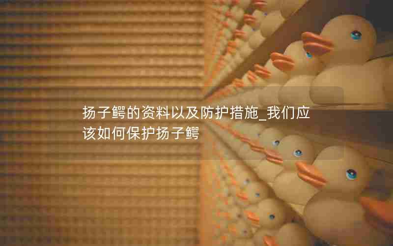 扬子鳄的资料以及防护措施_我们应该如何保护扬子鳄