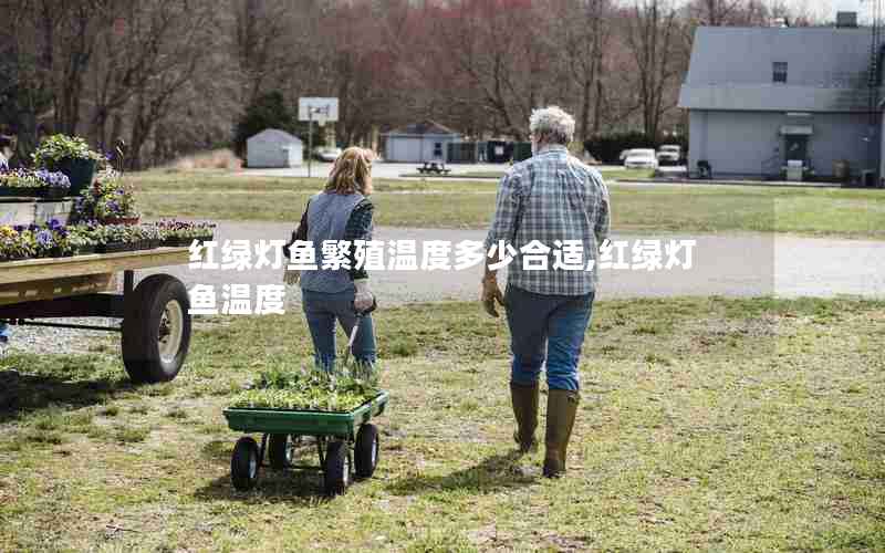 红绿灯鱼繁殖温度多少合适,红绿灯鱼温度