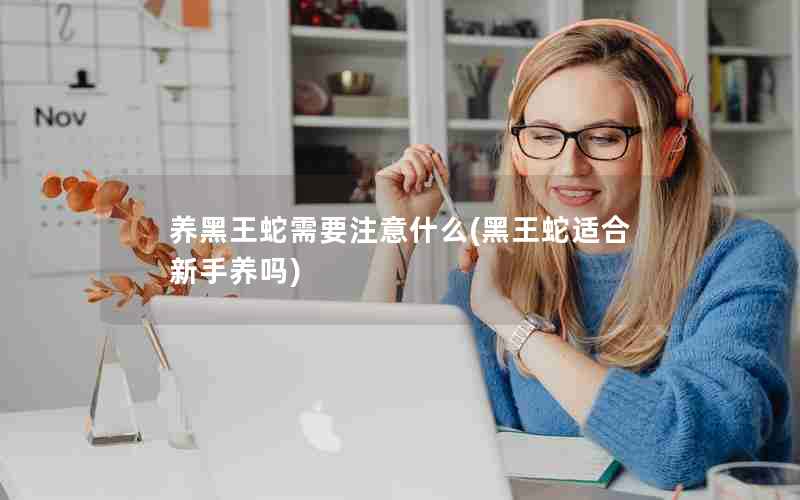 养黑王蛇需要注意什么(黑王蛇适合新手养吗)