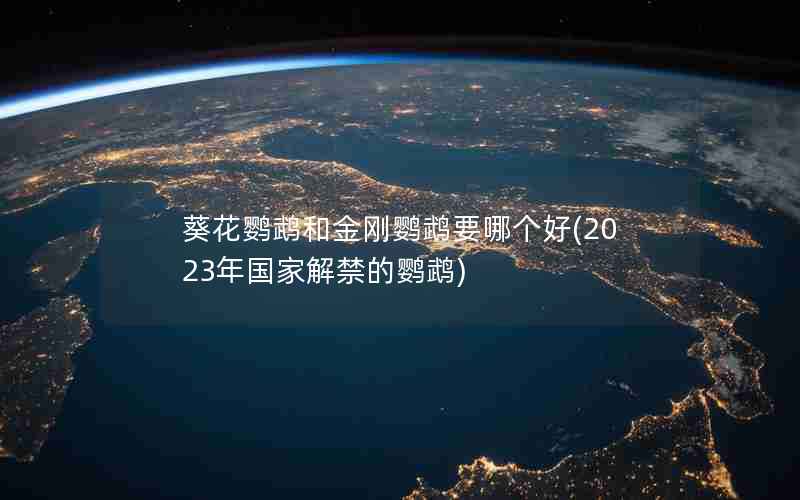 葵花鹦鹉和金刚鹦鹉要哪个好(2023年国家解禁的鹦鹉)