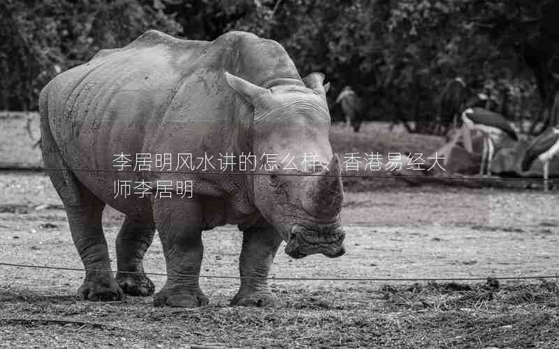 李居明风水讲的怎么样、香港易经大师李居明