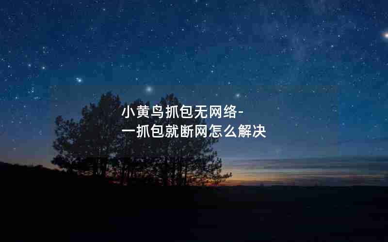 小黄鸟抓包无网络-一抓包就断网怎么解决