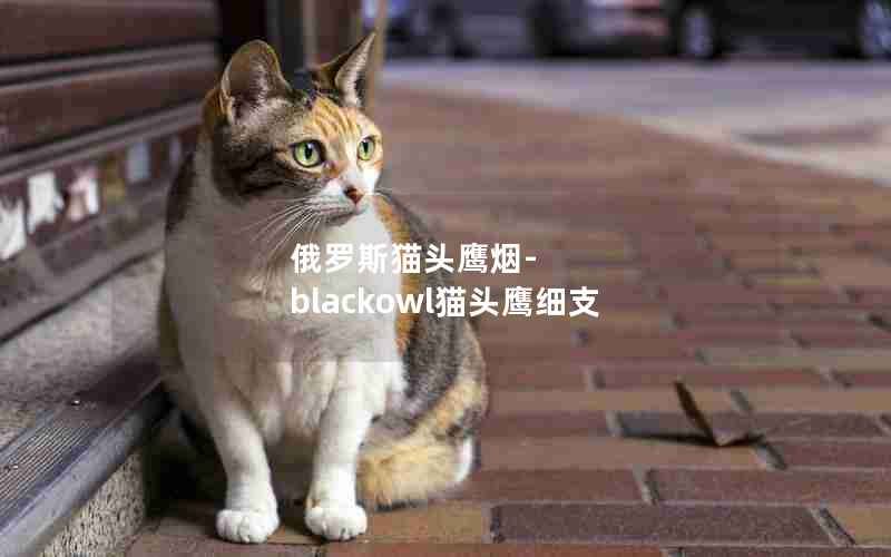 俄罗斯猫头鹰烟-blackowl猫头鹰细支