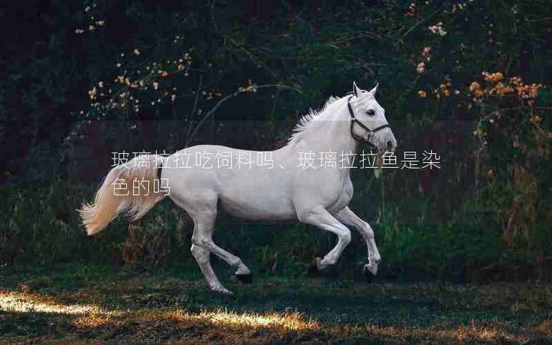 玻璃拉拉吃饲料吗、玻璃拉拉鱼是染色的吗