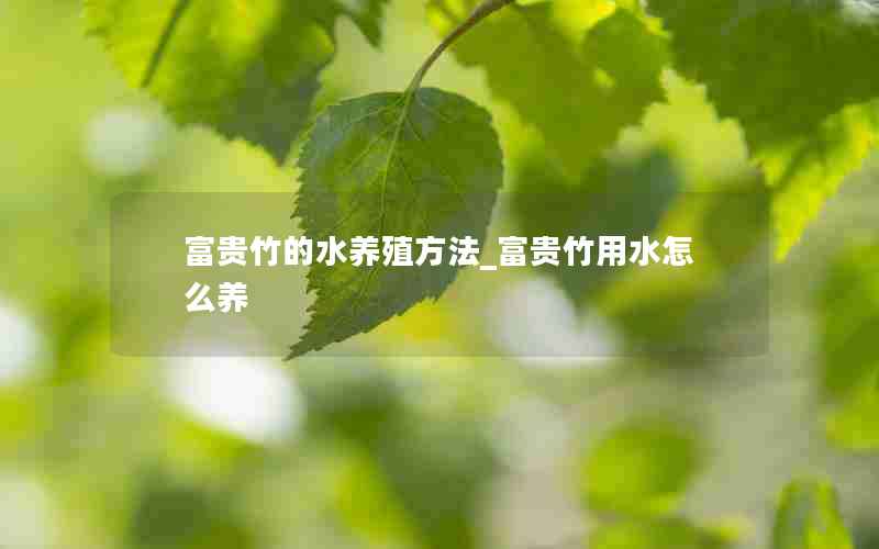 富贵竹的水养殖方法_富贵竹用水怎么养