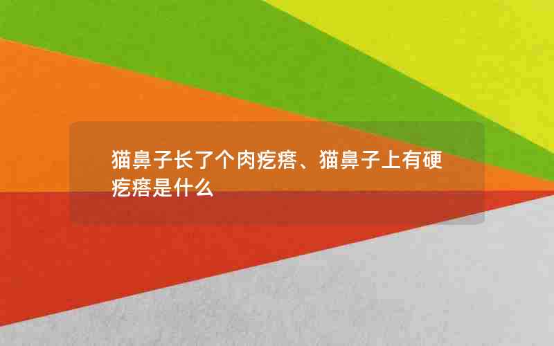 猫鼻子长了个肉疙瘩、猫鼻子上有硬疙瘩是什么