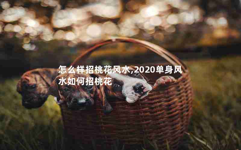 怎么样招桃花风水,2020单身风水如何招桃花