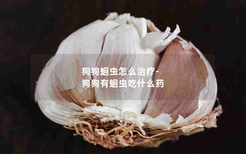 狗狗蛔虫怎么治疗-狗狗有蛔虫吃什么药