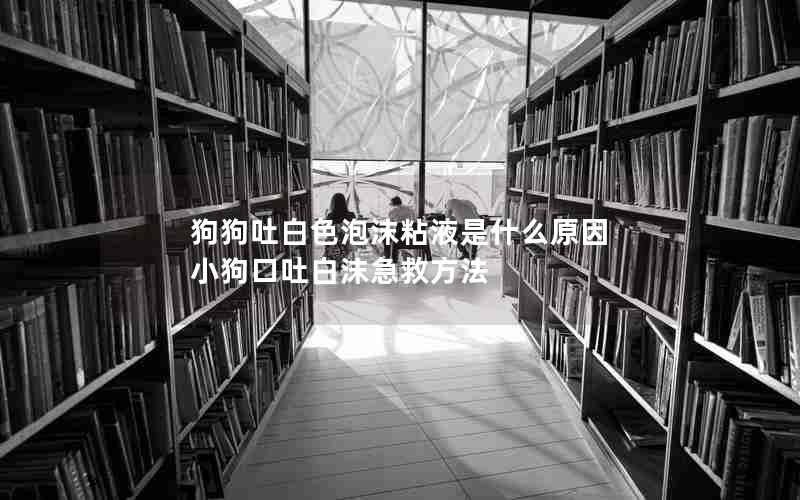 狗狗吐白色泡沫粘液是什么原因 小狗口吐白沫急救方法