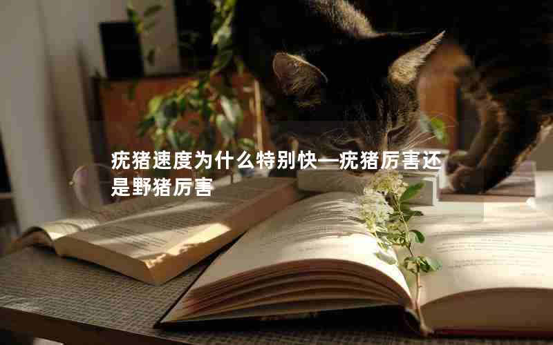 疣猪速度为什么特别快—疣猪厉害还是野猪厉害