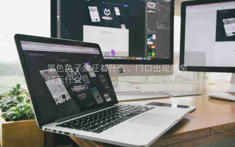 黑色兔子象征着什么、门口出现黑兔预示什么