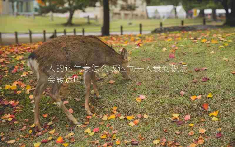 人的运气衰怎么改运气—人衰到极点会转运吗