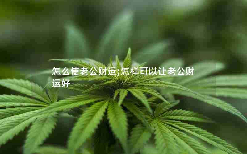 怎么使老公财运;怎样可以让老公财运好