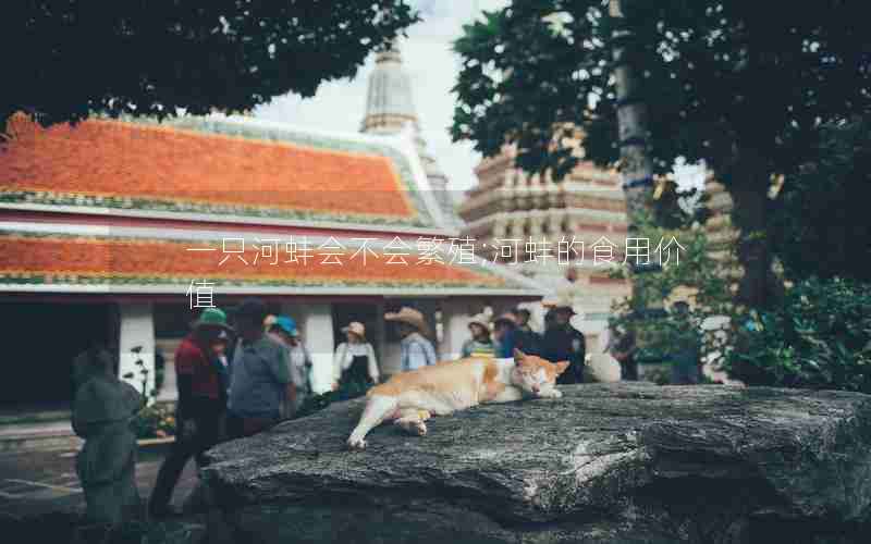 一只河蚌会不会繁殖;河蚌的食用价值