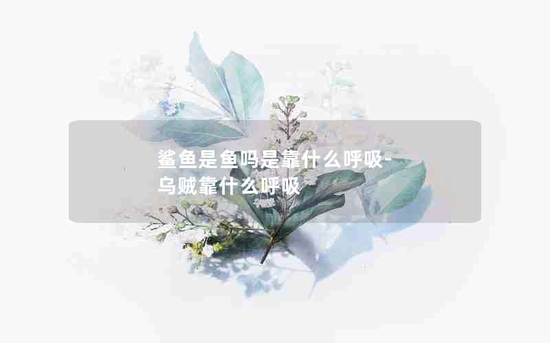 鲨鱼是鱼吗是靠什么呼吸-乌贼靠什么呼吸