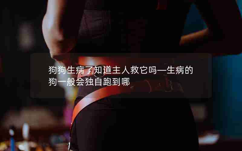 狗狗生病了知道主人救它吗—生病的狗一般会独自跑到哪