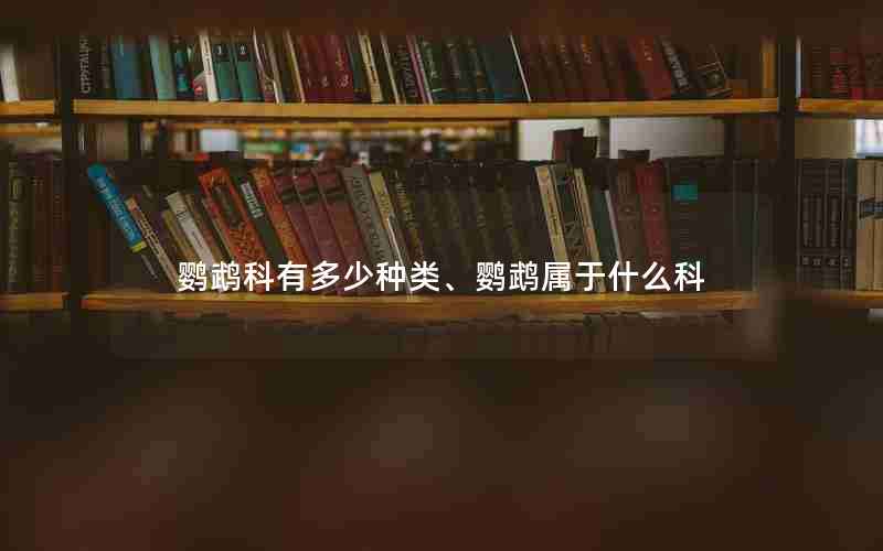 鹦鹉科有多少种类、鹦鹉属于什么科