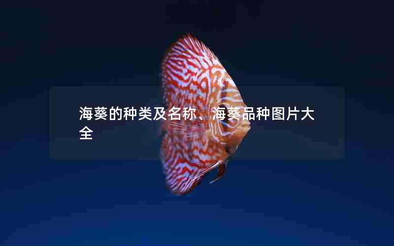 海葵的种类及名称、海葵品种图片大全