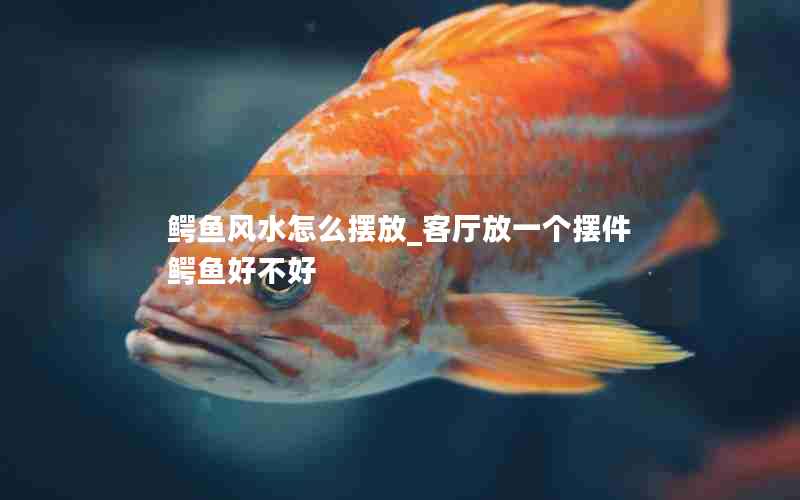 鳄鱼风水怎么摆放_客厅放一个摆件鳄鱼好不好