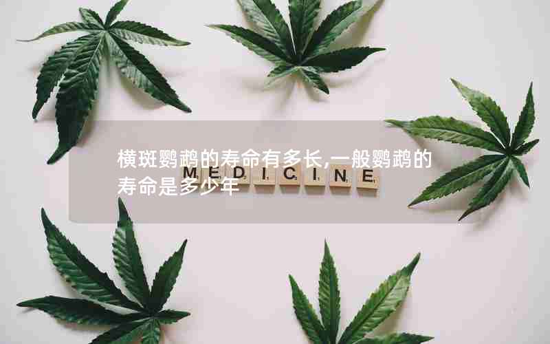 横斑鹦鹉的寿命有多长,一般鹦鹉的寿命是多少年