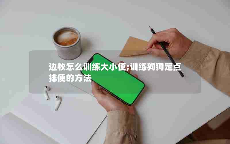 边牧怎么训练大小便;训练狗狗定点排便的方法