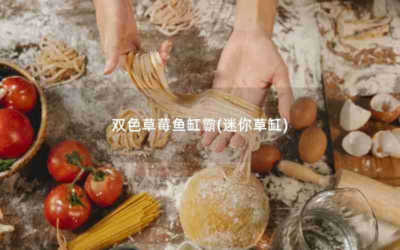 双色草莓鱼缸霸(迷你草缸)