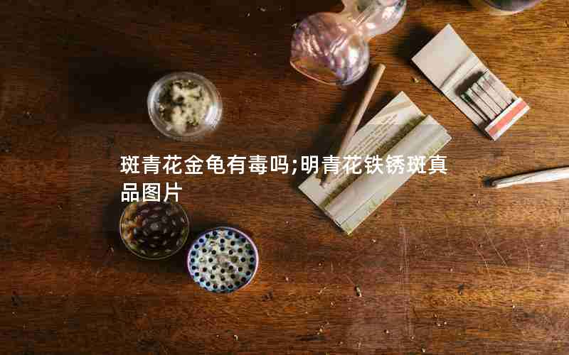 斑青花金龟有毒吗;明青花铁锈斑真品图片