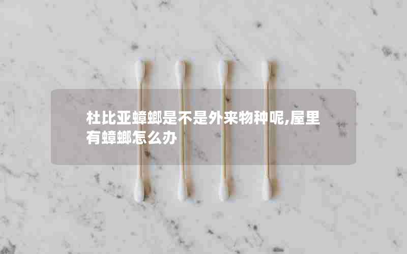 杜比亚蟑螂是不是外来物种呢,屋里有蟑螂怎么办