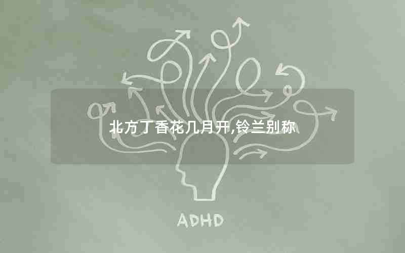 北方丁香花几月开,铃兰别称