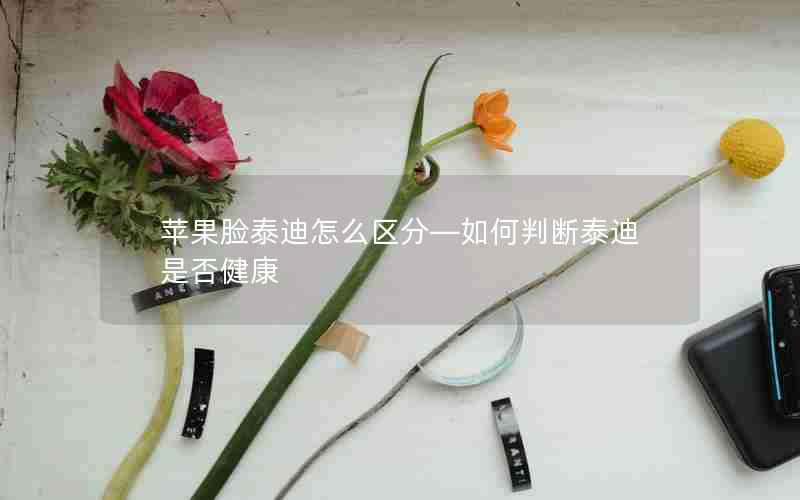 苹果脸泰迪怎么区分—如何判断泰迪是否健康