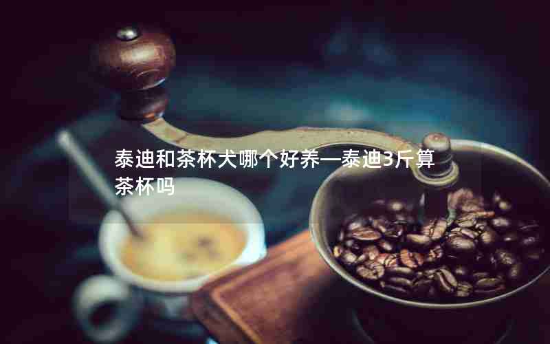 泰迪和茶杯犬哪个好养—泰迪3斤算茶杯吗