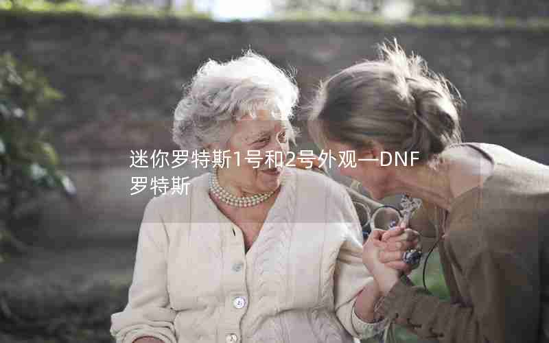 迷你罗特斯1号和2号外观—DNF罗特斯