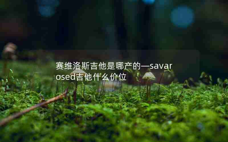 赛维洛斯吉他是哪产的—savarosed吉他什么价位