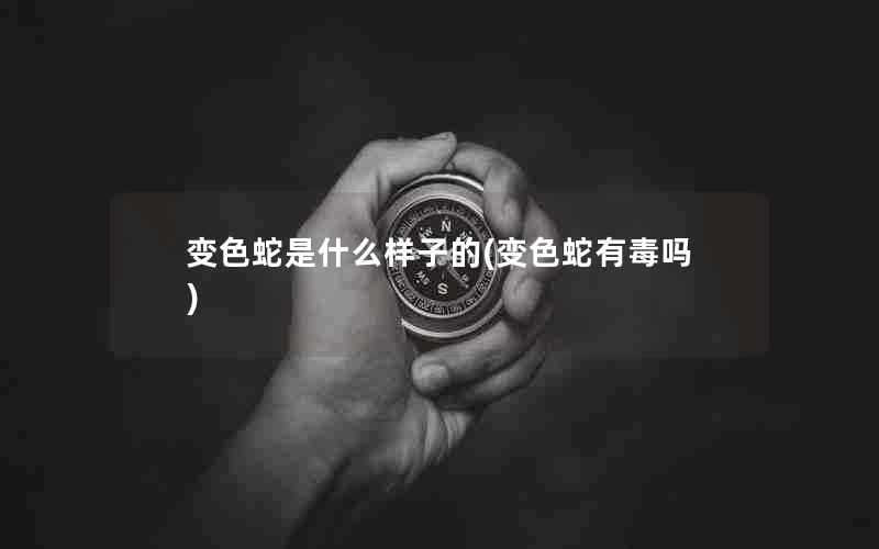 变色蛇是什么样子的(变色蛇有毒吗)