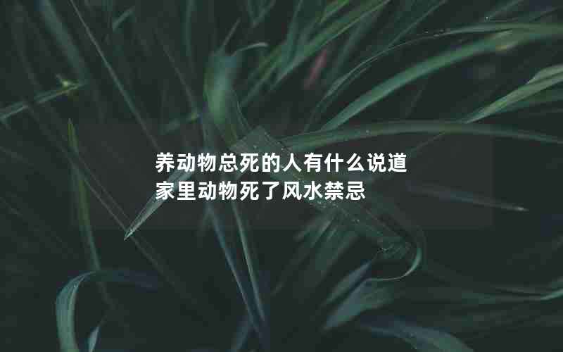 养动物总死的人有什么说道 家里动物死了风水禁忌